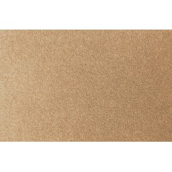 Tan / Beige Headliner Option