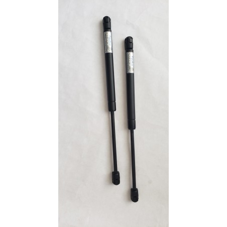 gas spring